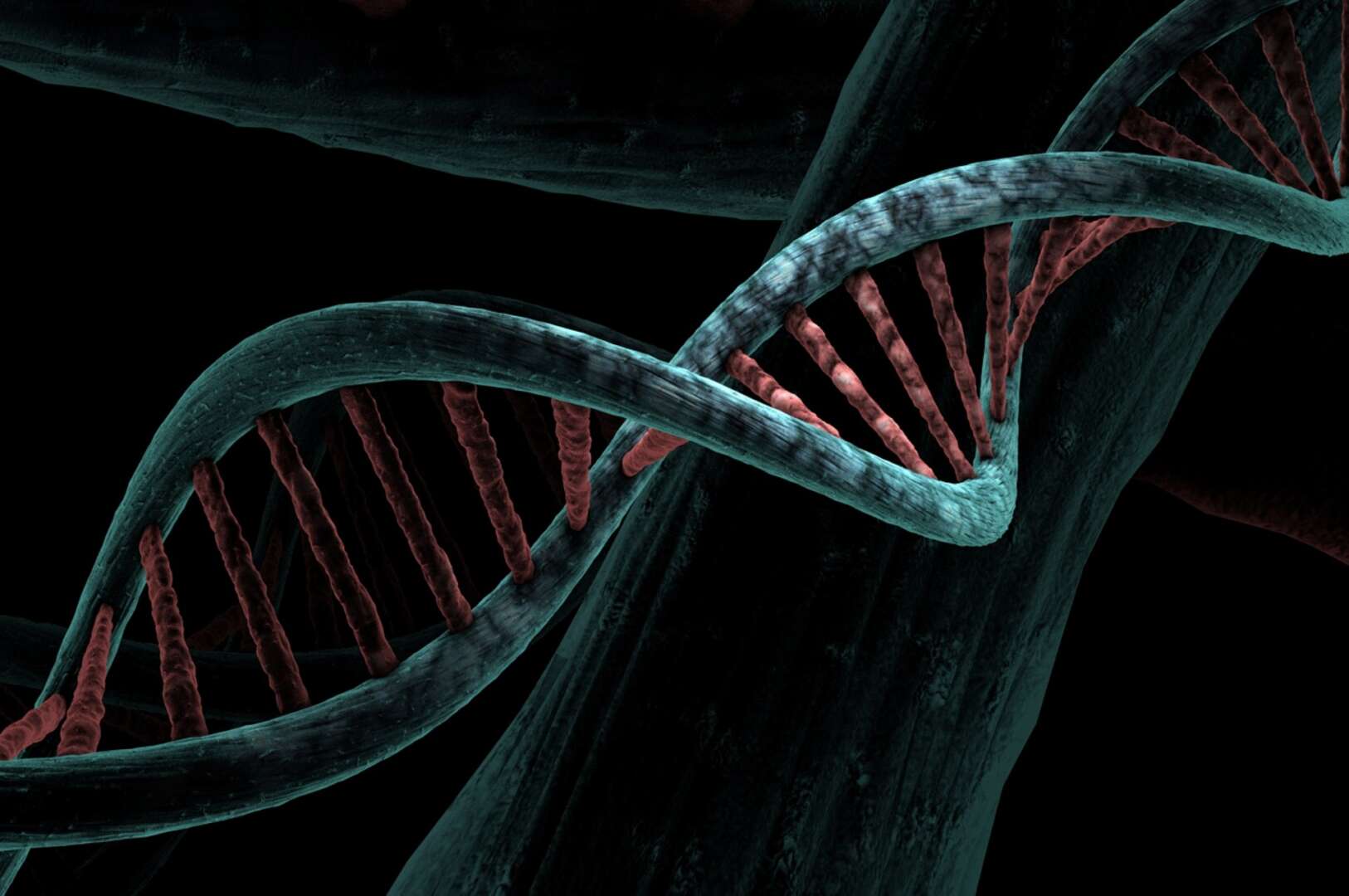 Wie werden DNA-Spuren verwertet?